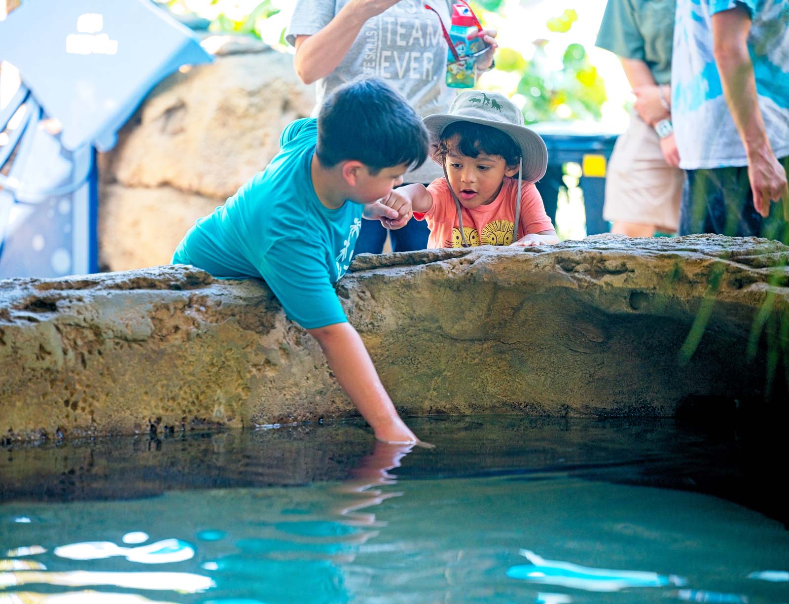 Two brothers reaching in to pet the stingrays at the ZooTampa Stingray Exhibit designed by BGE, Inc.