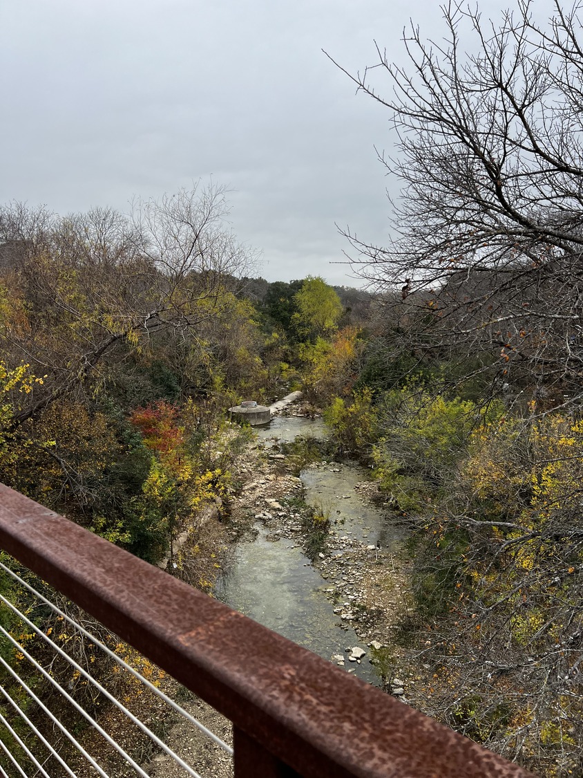 View from a rusty bridge overlooking a shallow creek surrounded by trees with autumn leaves, some bare branches, under a cloudy gray sky in The Grove.
