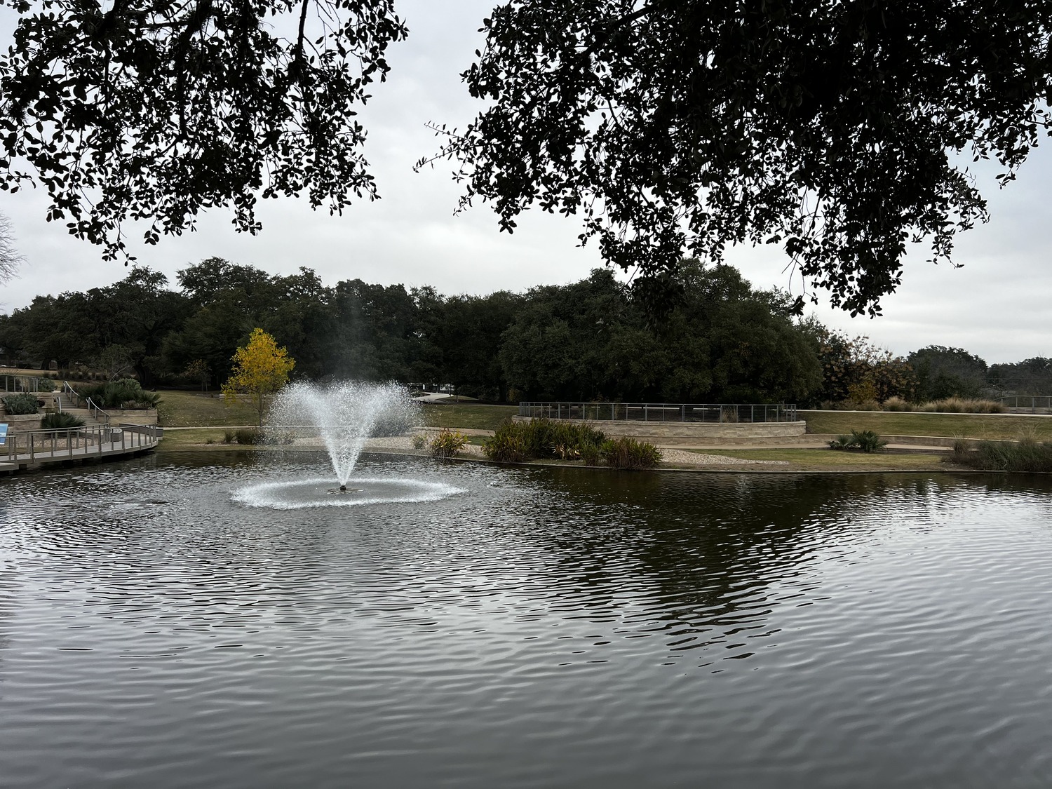 A pond with a water fountain in the center, surrounded by trees and grassy areas under a cloudy sky at The Grove. A wooden walkway is visible on the left side.